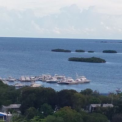 Breve, preciso y conciso. mis opiniones me lo dicta la balanza de mi conciencia.🇺🇸🇵🇷 Estadista por convicción