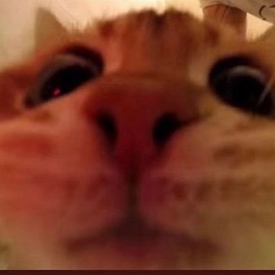 phrog_nsfw's profile picture. side acc to keep 🔞 outta my main /19/