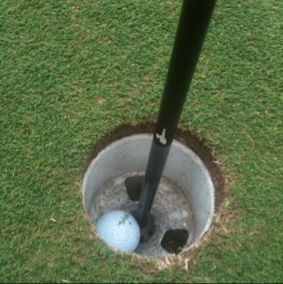 teemccabe's profile picture. 