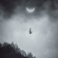 TŖIP (@tripqwq) 's Twitter Profile