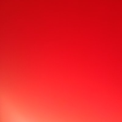 MullerF40011775's profile picture. 