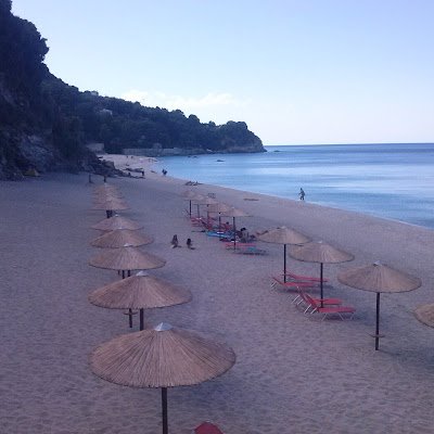 SPAP12957222's profile picture. 