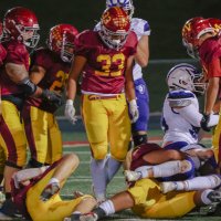 Dustin Havea (@dustinhavea) 's Twitter Profile Photo