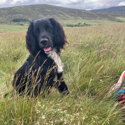 Scottish Ambulance Service Technician enjoying the fun of Ulcerative Colitis… Owner of a maniac dog, useless at social media and lives in a nice place.