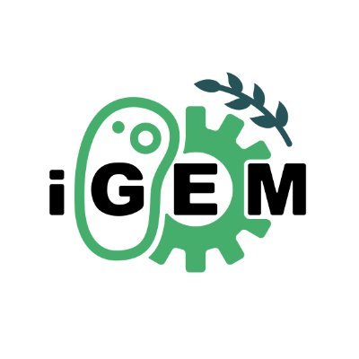 A new @iGEM program focused on local and regional Synthetic Biology competitions 🌿Start your League today!
@iGEMDesign
@igemindleague