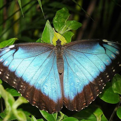 JaylynnRiedel's profile picture. 