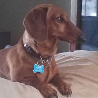 BuddyRabbit21 (@buddyrabbit21) 's Twitter Profile