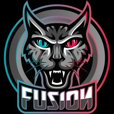 Team Fusioᴎ Profile