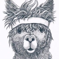 nomejodan⭐⭐⭐ (@pauvm_) 's Twitter Profile