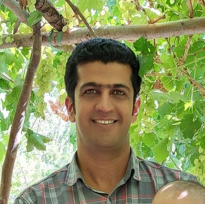 Alireza43175116's profile picture. 