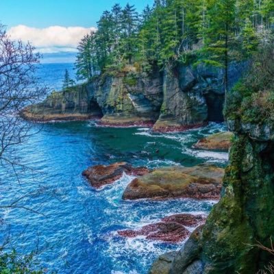 Bioscientific90's profile picture. Created Not Made