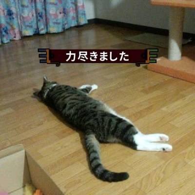 7_kkf's profile picture. 