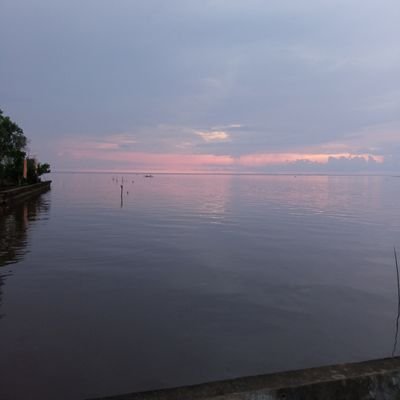 sunrise_yello's profile picture. 