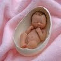 Samtani Pradeep (@pradeepsamtani) 's Twitter Profile
