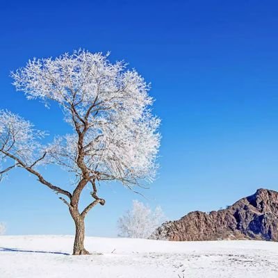 JNSanaullahAha1's profile picture. 