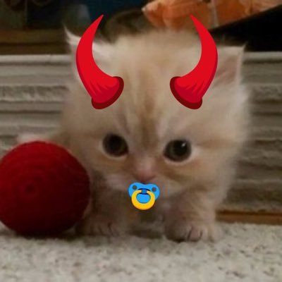 lesbianranboo's profile picture. guys please stop rqing on thsi account i don't use it anymore i use @fruitychamp