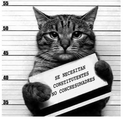 PenalolenAprueb's profile picture. Por las nuevas bases de una sociedad con oportunidades igualitarias y una #nuevaconstitucion ✊