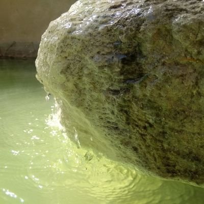 栃木県日光市にある湯元温泉旅館協同組合です。
標高1,500mに立地し、乳白色で肌触りの良い硫黄泉が自慢!
日本らしい四季を感じられ、アウトドアの拠点としても最適です!
地域情報をお伝えしますが、当面ご質問等へは回答できません。
#奥日光,#日光湯元,#湯元温泉,#日光国立公園,#国民保養温泉第一号,