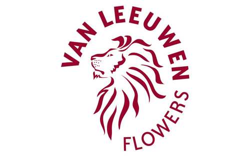 reneleeuw's profile picture. Sinds 2008 telen wij Oriëntal Lelies. Ons assortiment bestaat uit Helvetia,W Alberti, Energetic en Santander.