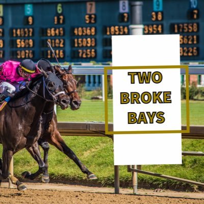 Horse racing's newest podcast by @BaileyArmour and @ChristinaZurick. Tune in for bad jokes and good picks 🏇🏻