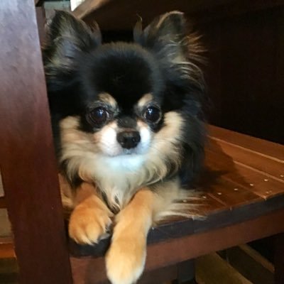 AZ43072782's profile picture. 