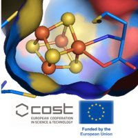 COST FeSImmChemNet (@fesimmchemnet) 's Twitter Profile Photo