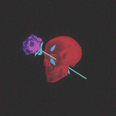 j.0x00n // cameron jayさんのプロフィール画像
