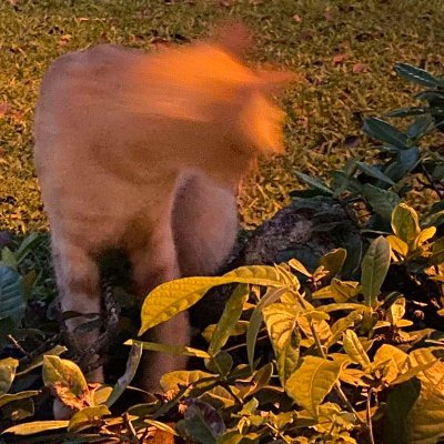 jmsrxd's profile picture. 