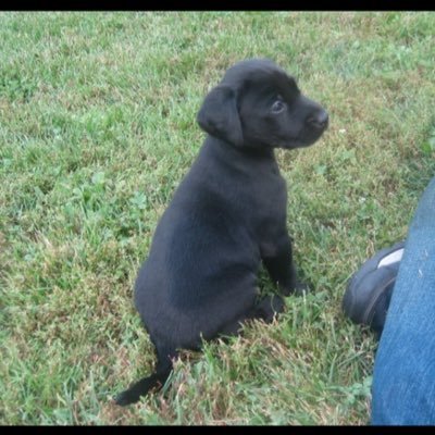 sduncansoncg's profile picture. 