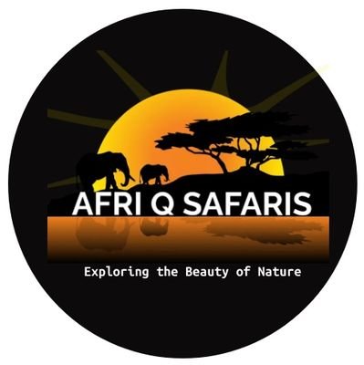 Afri Q Safaris making Adventure a culture🦍|| Come let's explore Uganda🐘🦩||
For any Bookings Contact: +256752796342🦚|| Email: afriqsafaris@gmail.com🐒