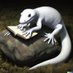 White Salamander 🦎 (@postmosalamand) Twitter profile photo White Salamander 🦎 (@postmosalamand) Twitter profile photo