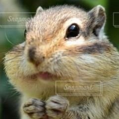 闘病垢。精神疾患で苦しむ人と意見交換するのが目的。またはポストを拝見して回復のヒント✳️闘病の方と繋がりたい✳️励まし合い✳️抑鬱✳毒親
✳️自衛のため、常識のない方・病名不明の方はお断りすることも
✳️本好き
✳️冗談好き
✳️RT はメモ代わり
✳️FFさん希望
✳️出会い・エロ❌
✳️スピリチュアル❌
✳️副業❌