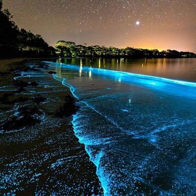 Knautman's profile picture. The World was created in six days, God rested on the seventh day. I am the Seventh day of Creation