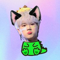 ︾𝒋𝒖𝒏𝒈-𝒂𝒚︾ (@xdinarawrmeow) 's Twitter Profile