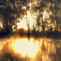 C Barkman (@cjbats) 's Twitter Profile