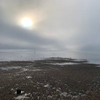 Charlie (@charlielm83) 's Twitter Profile