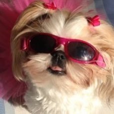 entp_huha's profile picture. 