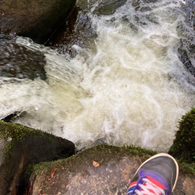 RiHarri21's profile picture. 30-something. Clinging to that ‘something’.