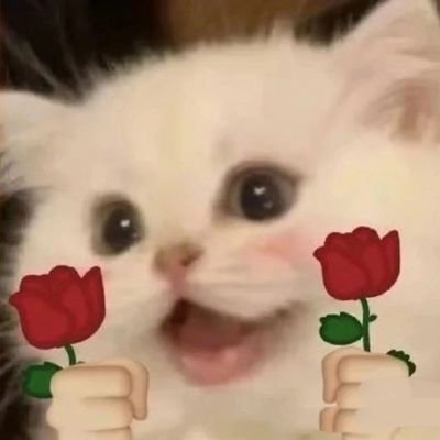 chngy55753429's profile picture. 