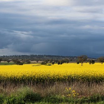 LeonBoy23217420's profile picture. 