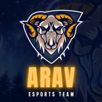 ARAV(@ARAV_Esports) 's Twitter Profile Photo