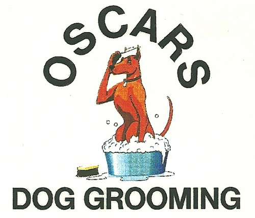 Dog grooming & dog sitting service in Coventry and Warwickshire Established 9 years with many repeat customers. Plus,Oscar is Mascot of BBC CWR in the Midlands.
