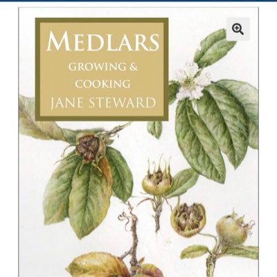 My book: MEDLARS, Growing & Cooking. National Collection medlar orchard. I make medlar jelly, chutney & medlar gin liqueur.