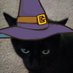 fork (@forkcatforkcat) Twitter profile photo fork (@forkcatforkcat) Twitter profile photo