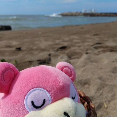climbing_yuki's profile picture. 