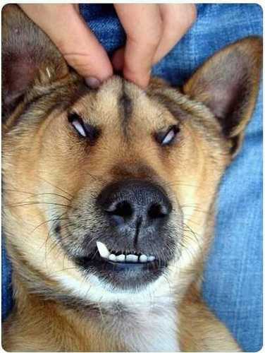 cyc07207's profile picture. 걍 재밌는거, 거의 대부분 퍼온글!  정치글 지겨워.....