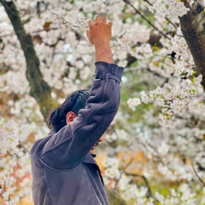 Hashanc13905525's profile picture. individualist