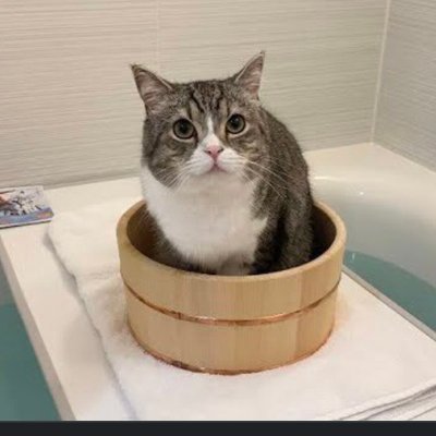 フォローしてくれたらフォローします