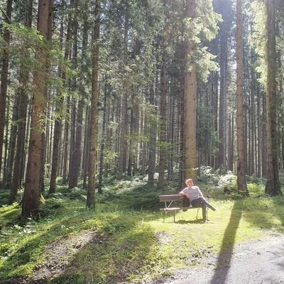 robert schäfer Profile