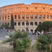 h and n (@neilh32) 's Twitter Profile